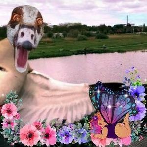 Meet your Posher, Claire